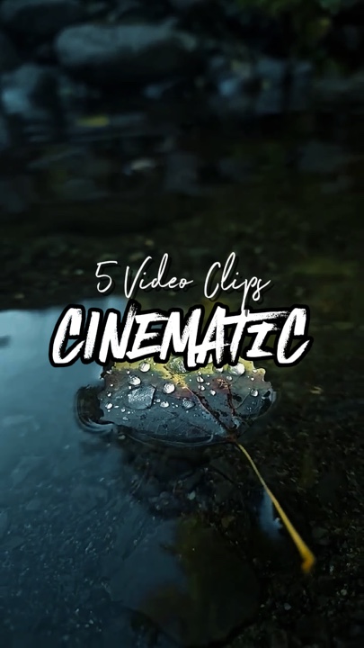 5 clips vidéo 