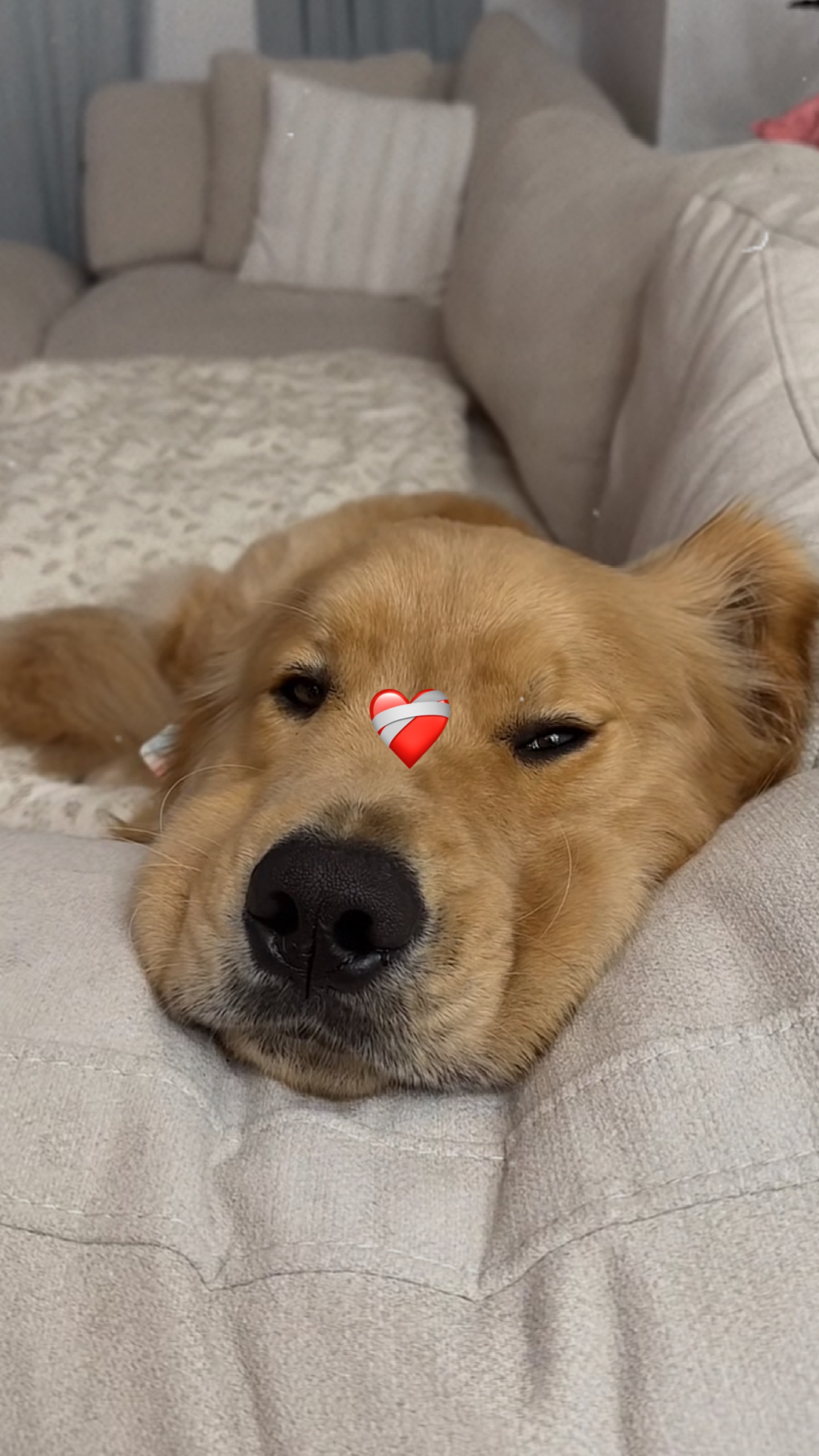 CUTE AND CUTE ❤‍🩹 