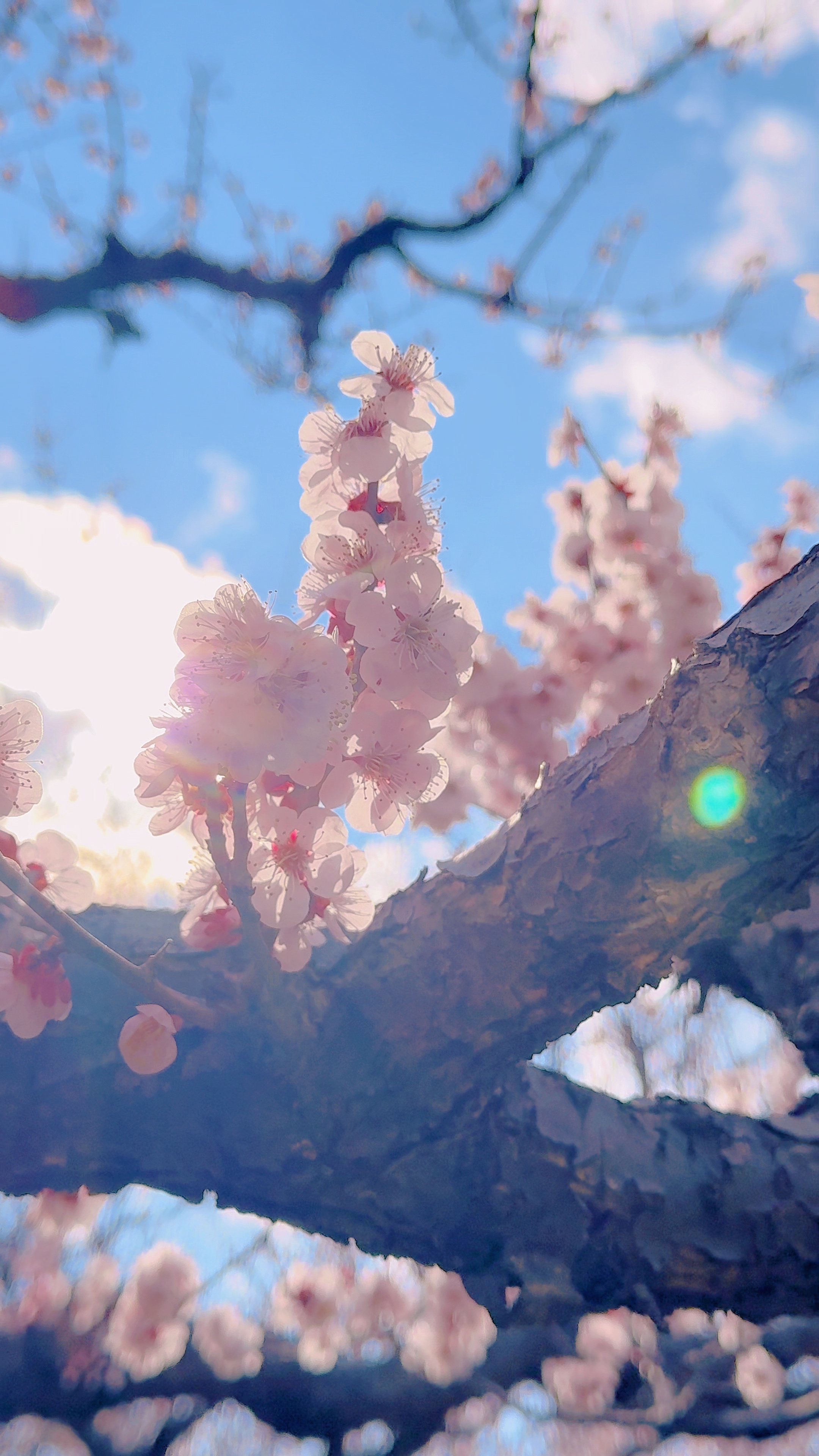 Un día de primavera