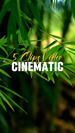 CINEMATIC 5 VIDEO