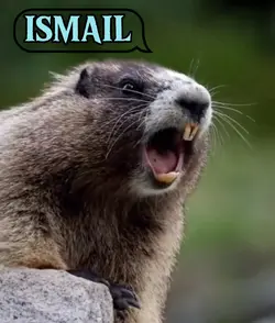 ISMAIL