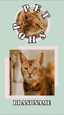 Pet shop