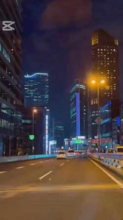 『 HENYIN 』百足 