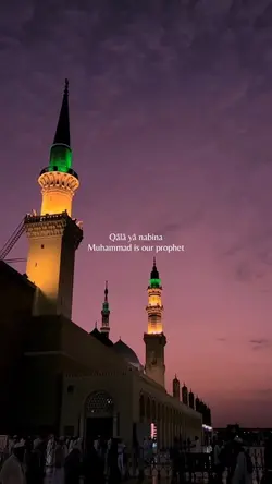 Qalbi fil Madina 