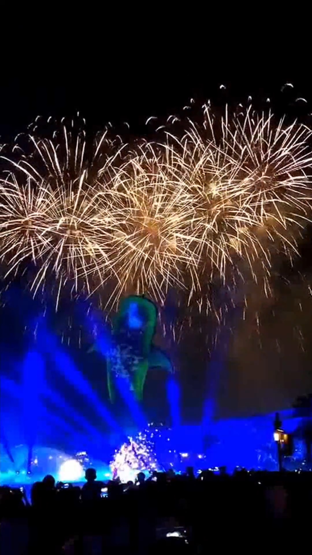 Festa vlo