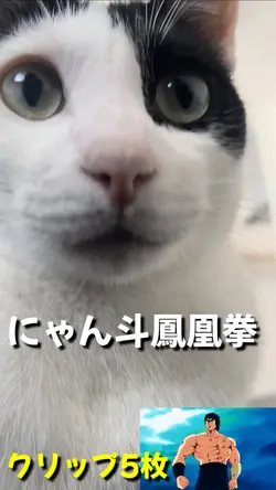 にゃん斗鳳凰拳に構えはない