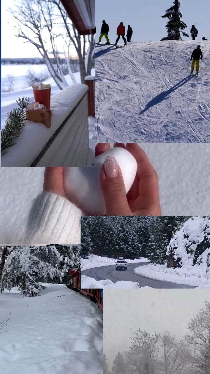 im schönen Winter