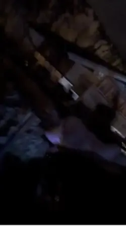 Macht viral auf Ehre