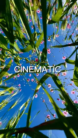 Cinematic 10 Videos 