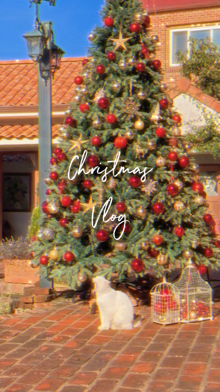 Christmas Vlog 
