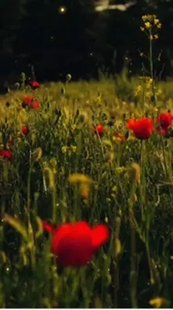 Bye  julio hola Agos