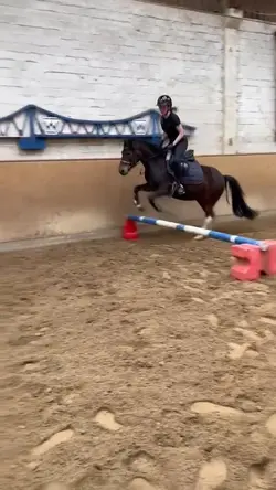 horse slowmo