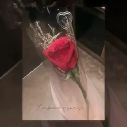 【M1Y0】情緒1張