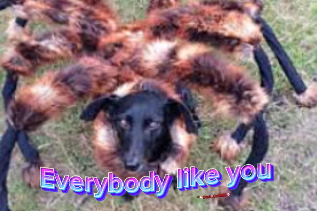 Your photo here 