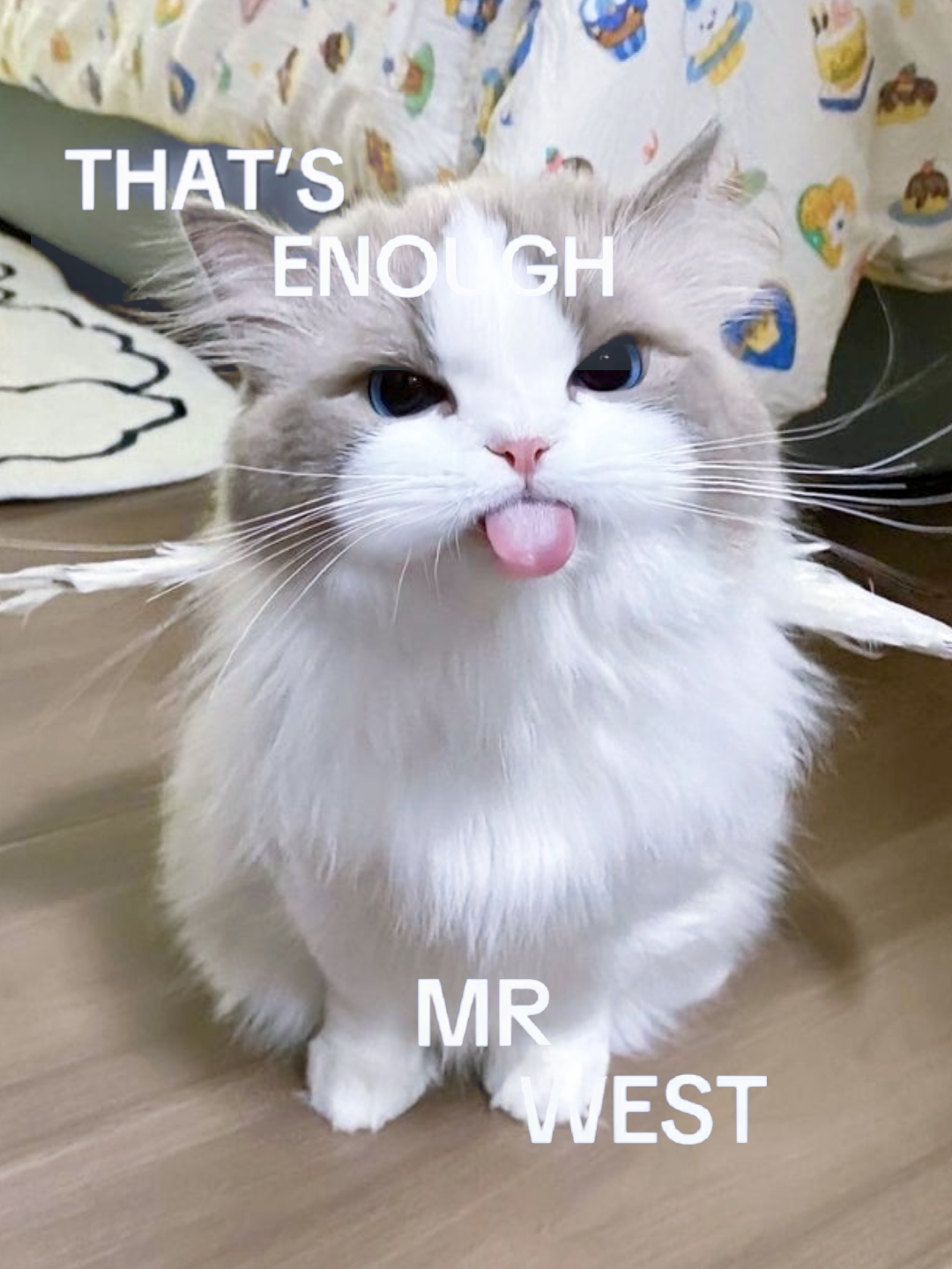 够了West先生