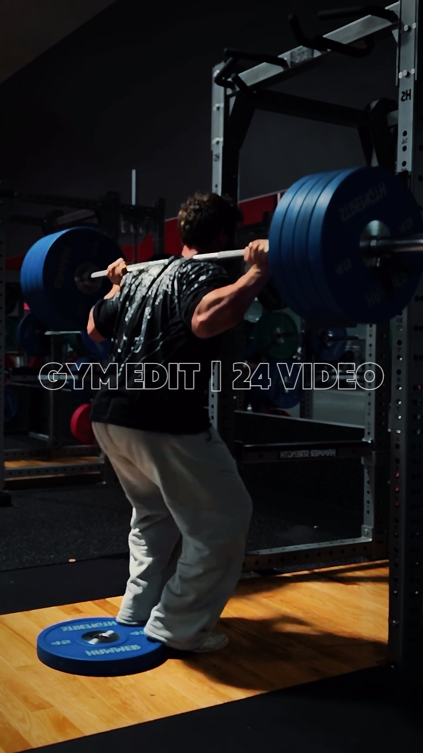 Gimnasio profesional | 24 videos
