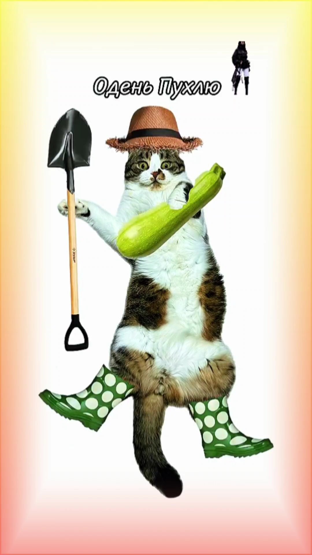 Novo modelo 