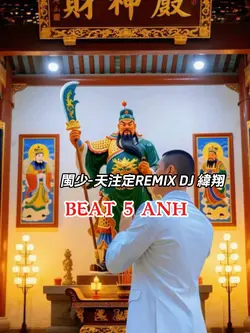 閩少-天注定REMIX DJ 緯翔