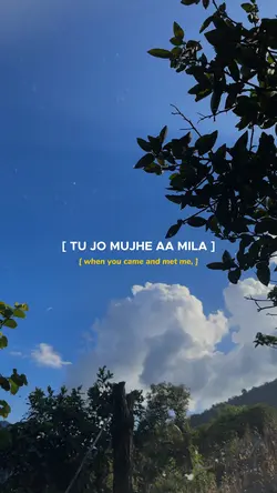 Tu Jo mujhe Aa mila