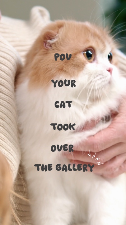 Cat in gallery