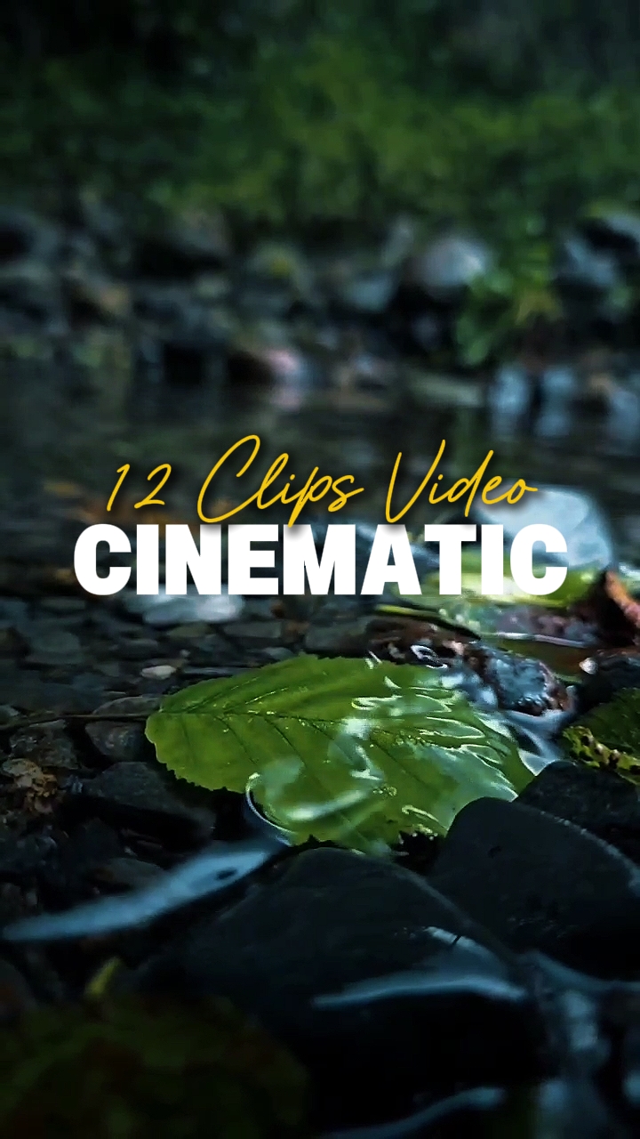 12 Clips Video 