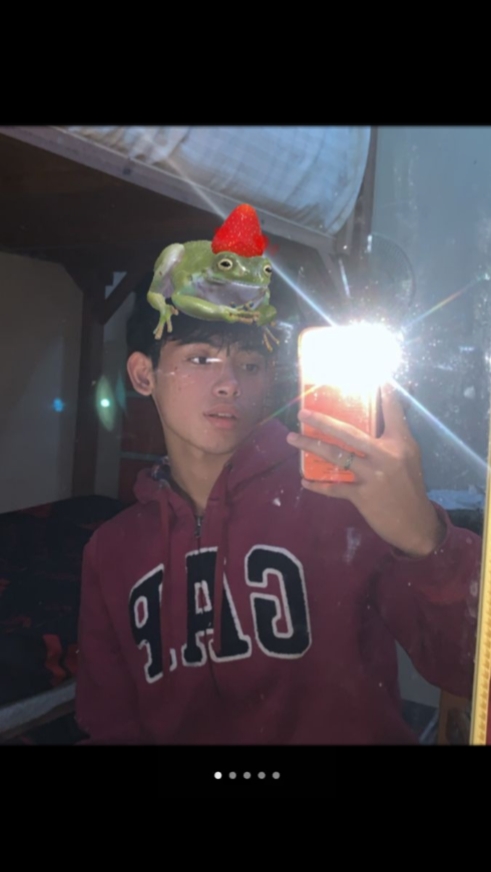 Cover Picture