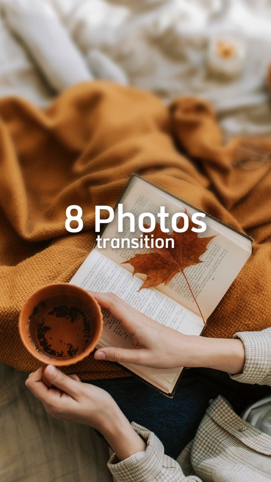 8 Foto Transisi