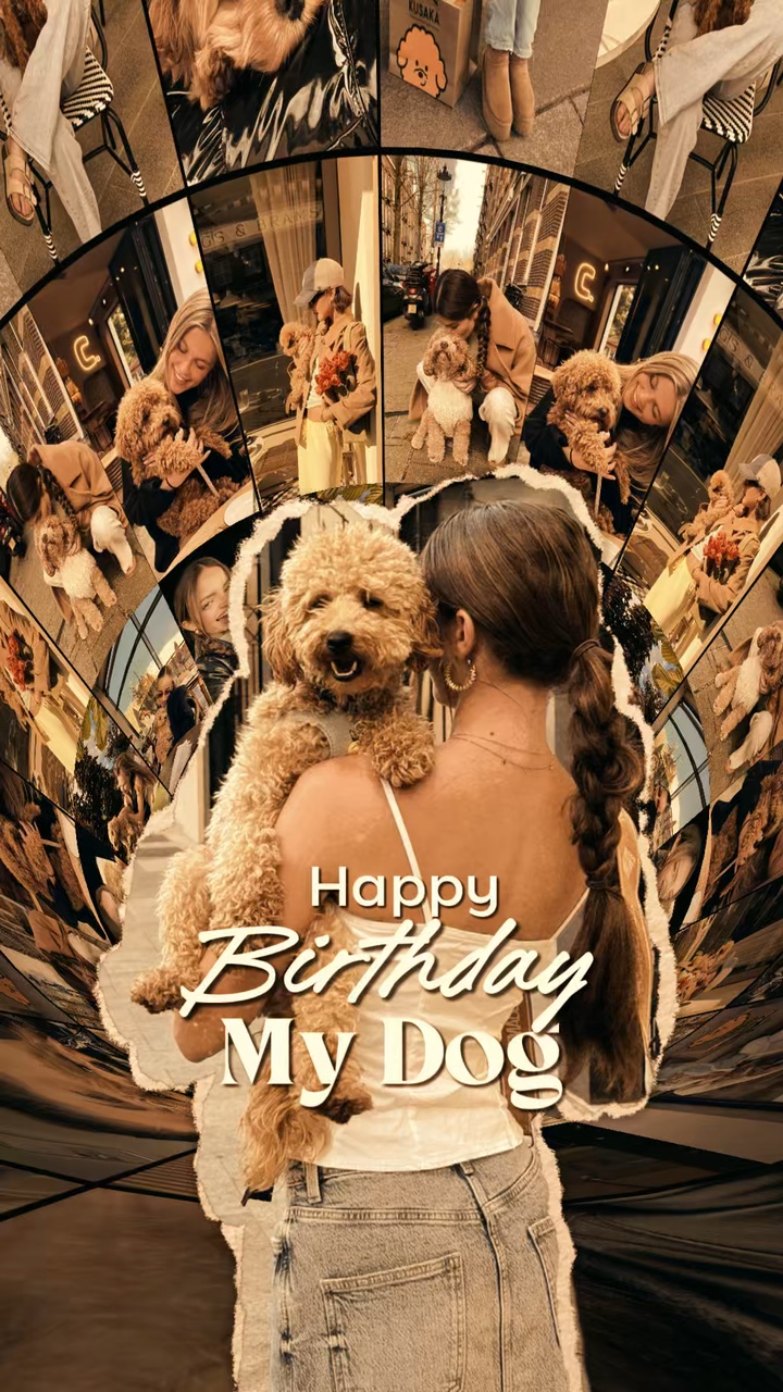 Aniversário meu cachorro 