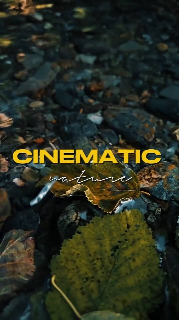 cinematic 18 clips
