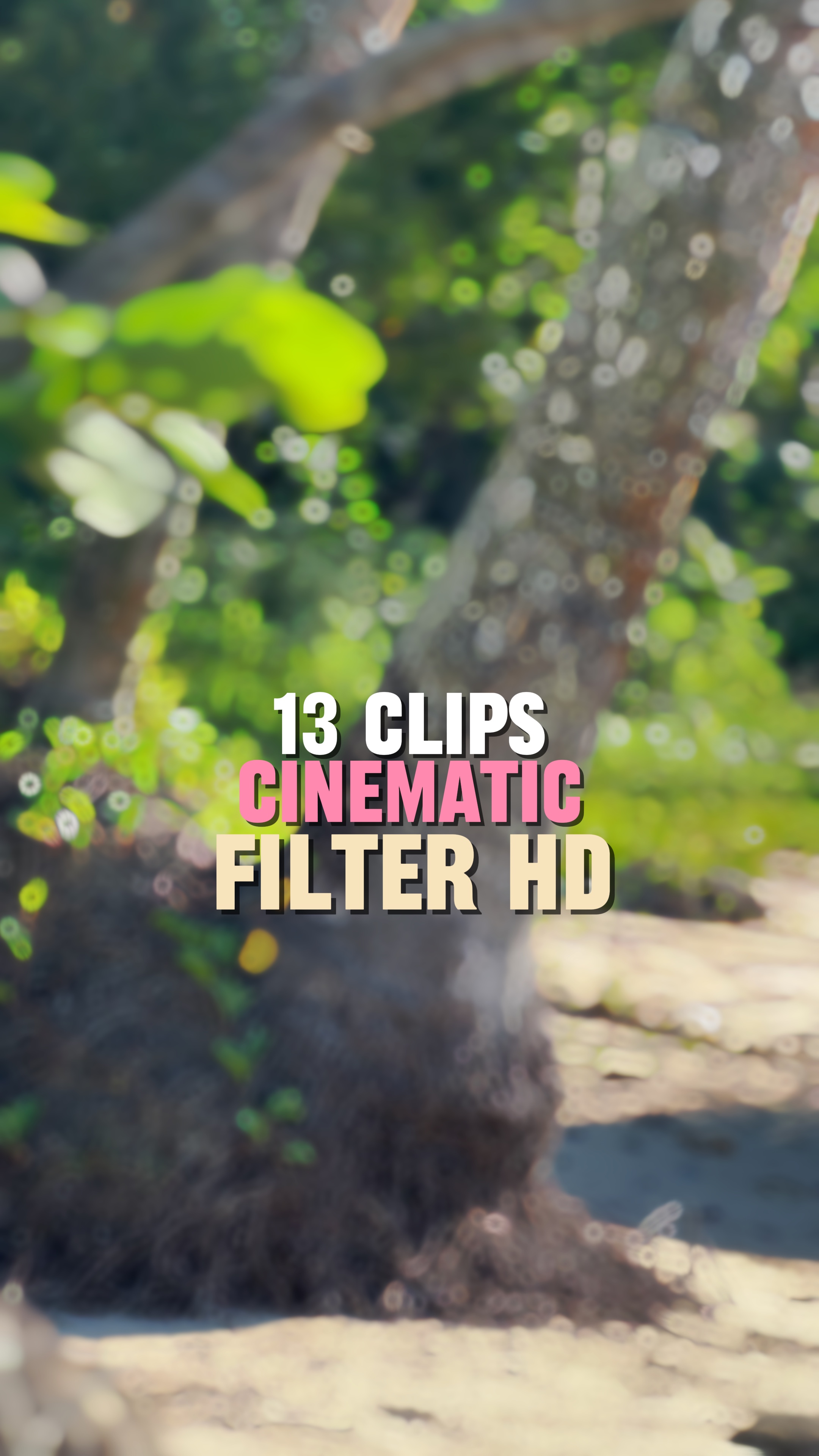 Mashup de 13 clips