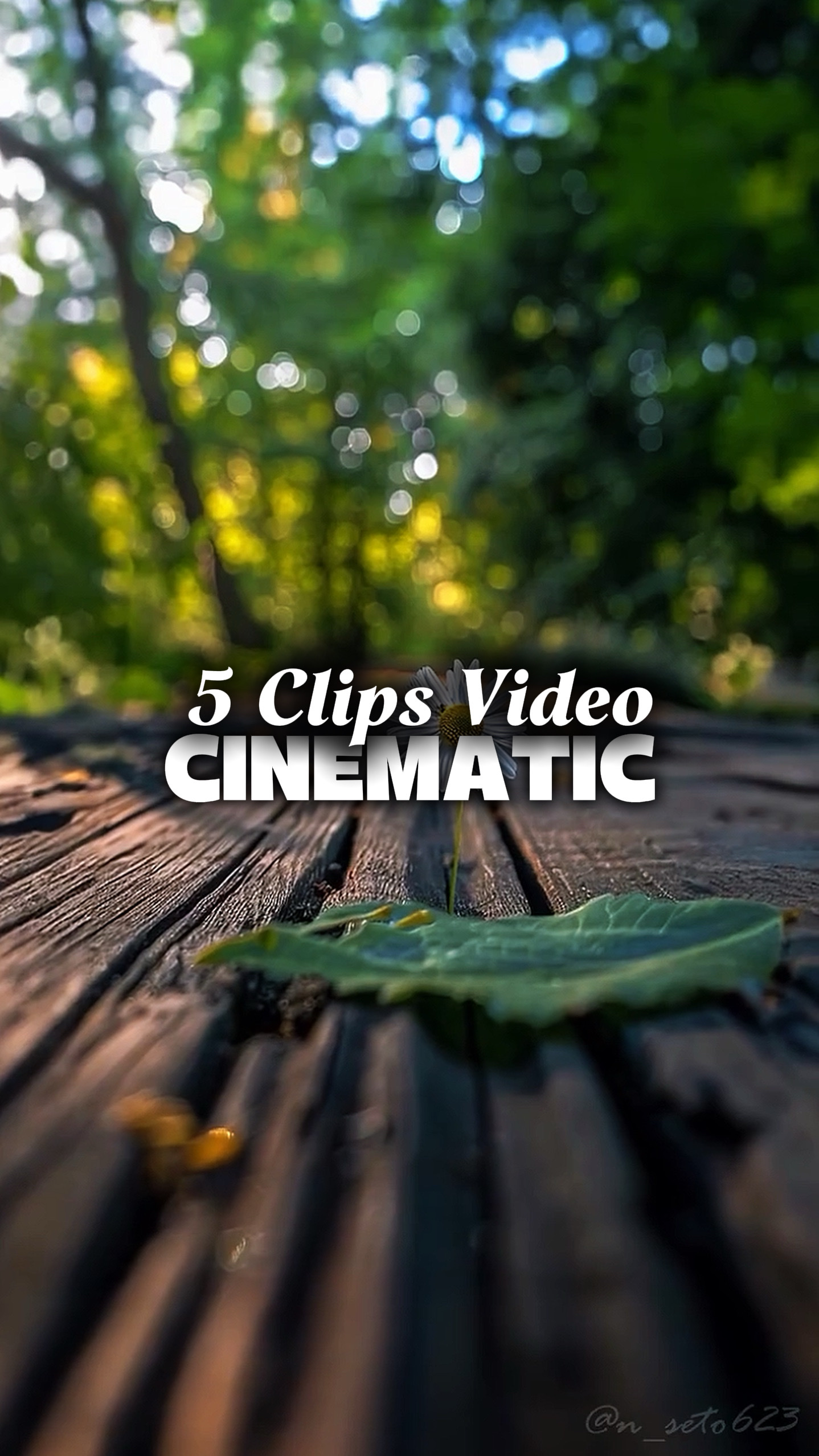5 Videos Cinematic 