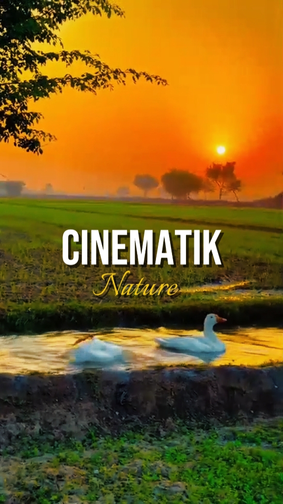cinématique