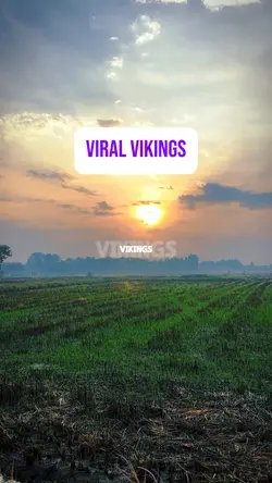 VIRAL VIKINGS