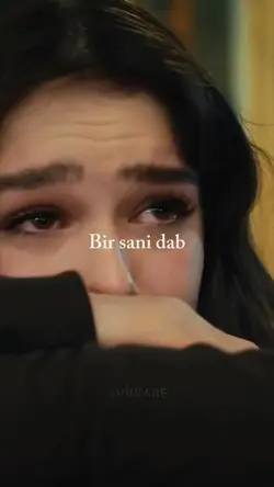 Bir sani dab