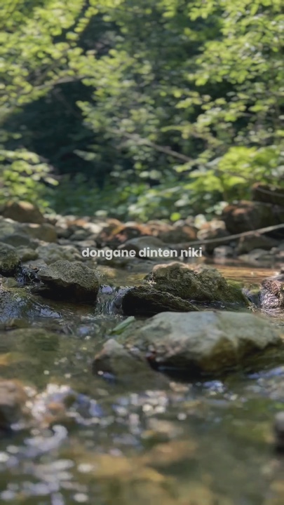 1 klip dongane dinte