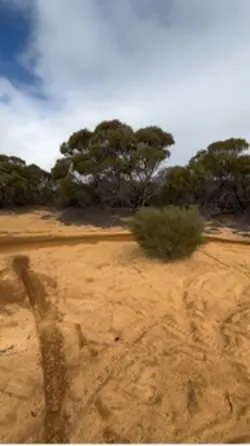 Dirtbikes