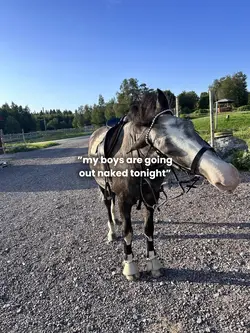 never say this😭😭