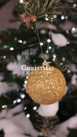 christmas is coming