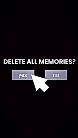 delete memories