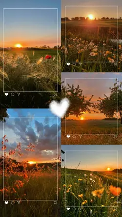 5 aesthetic