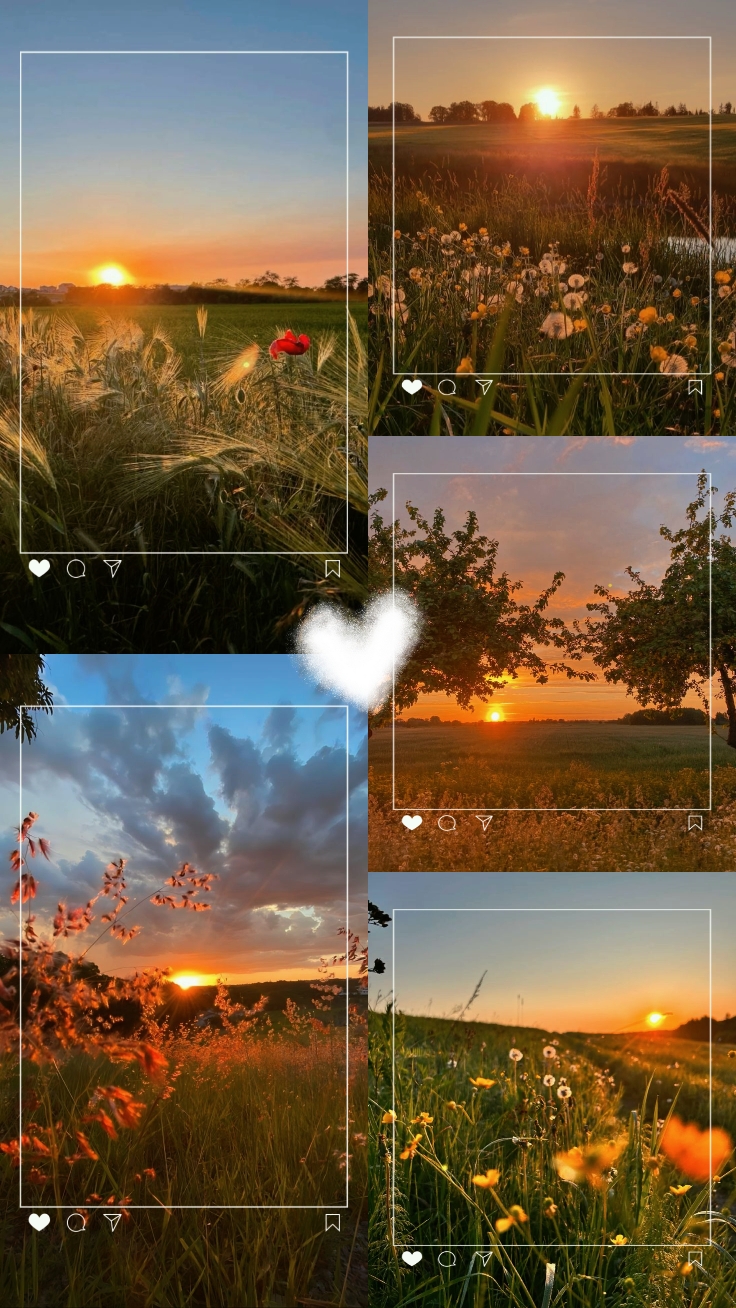 5 aesthetic 