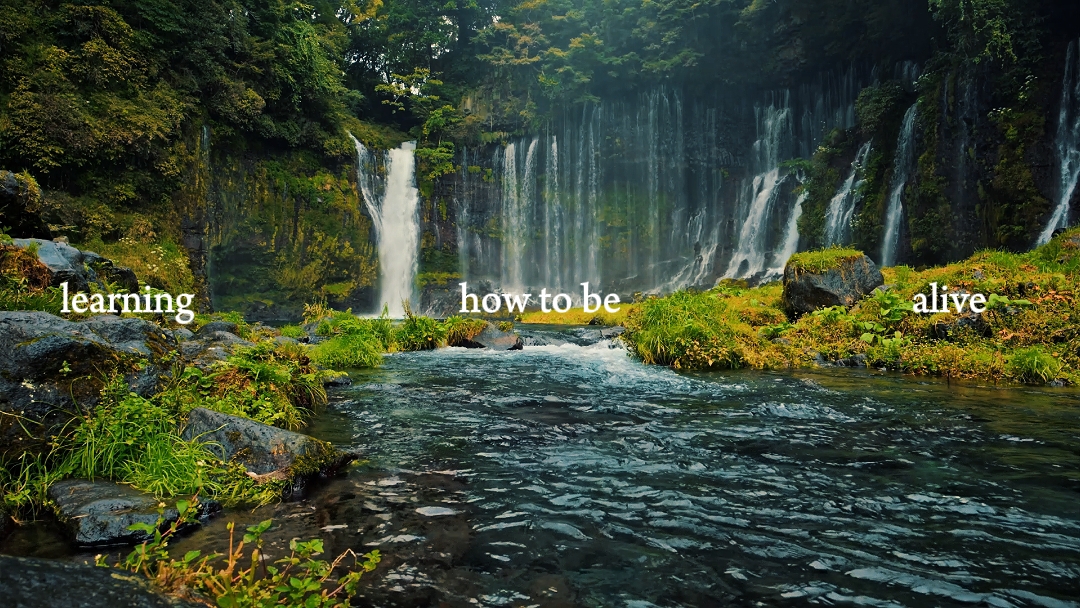 Vlog de naturaleza