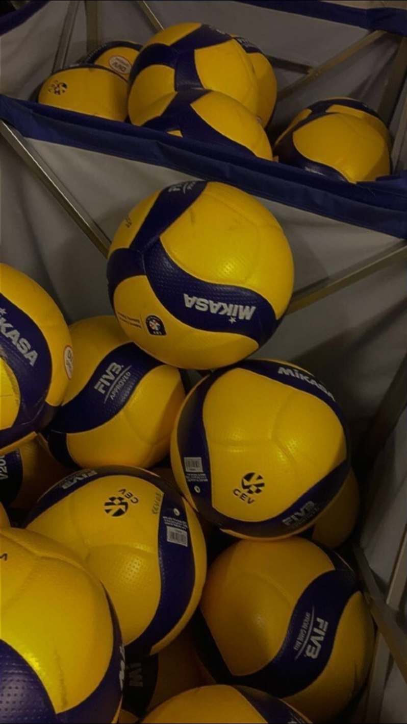 Plantilla De Voleibol 