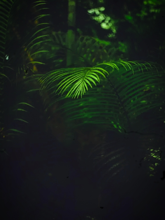 কারো প্রতি আসক্ত 