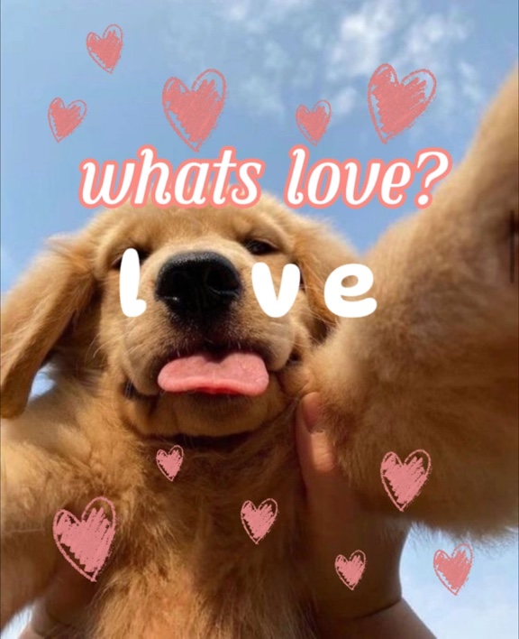 Amor de cachorro