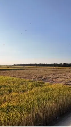 Bình yên