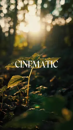 CINEMATIC 