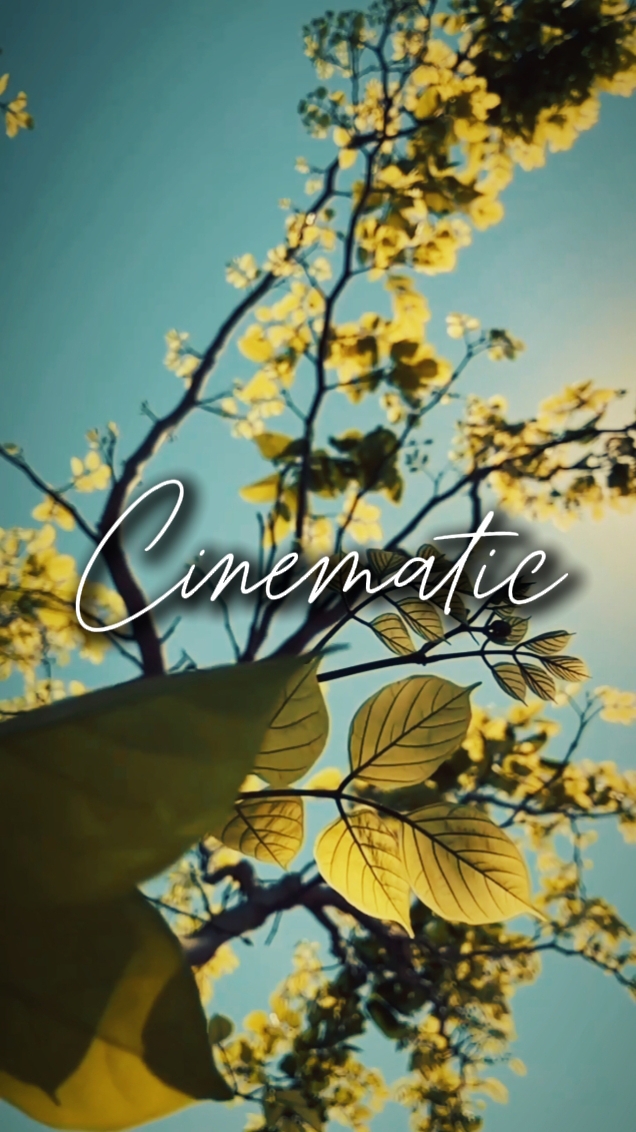 5 clips cinematic 