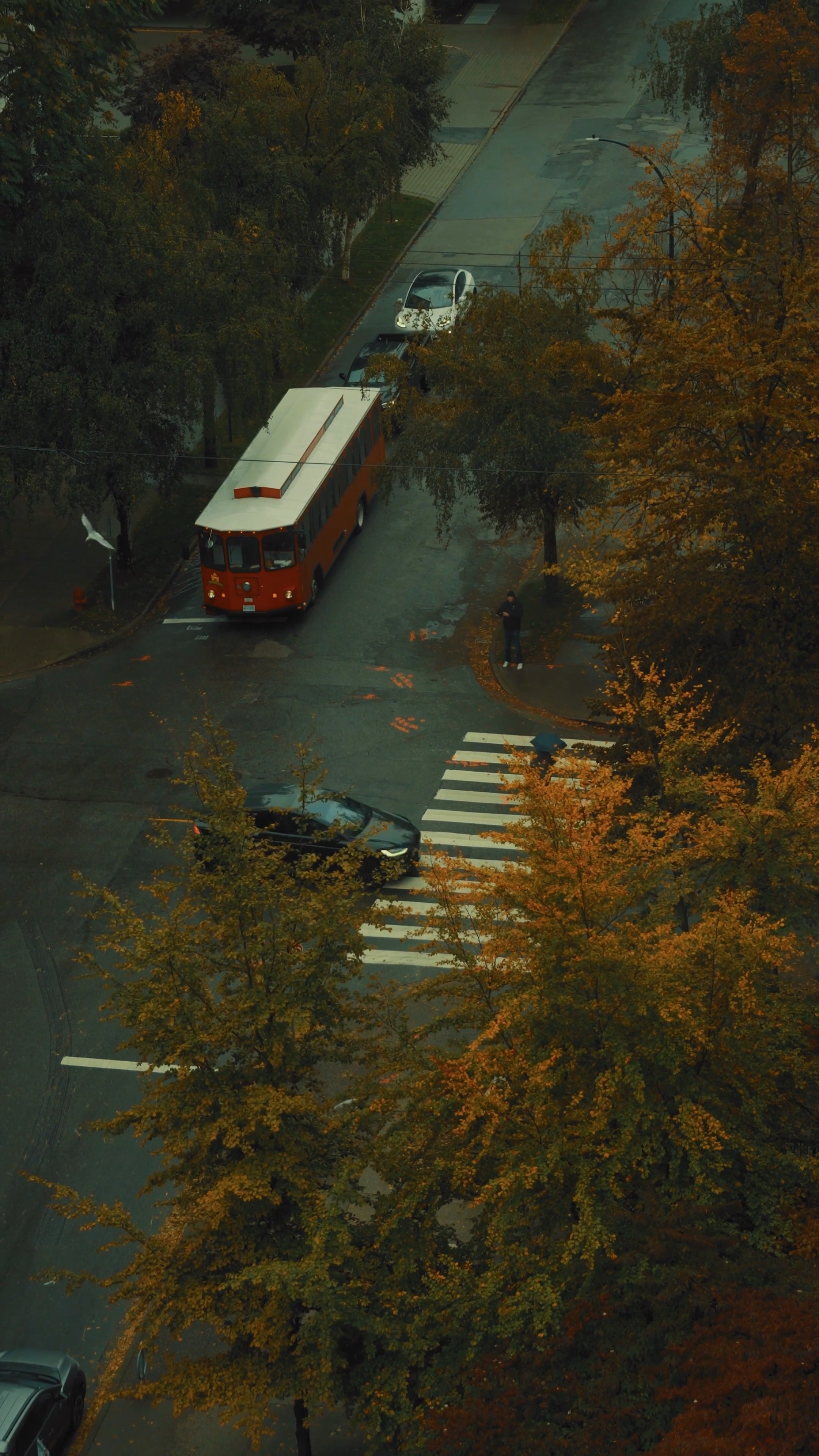 TRAILER CINEMÁTICO