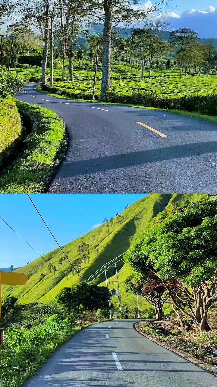 2 videos kolase